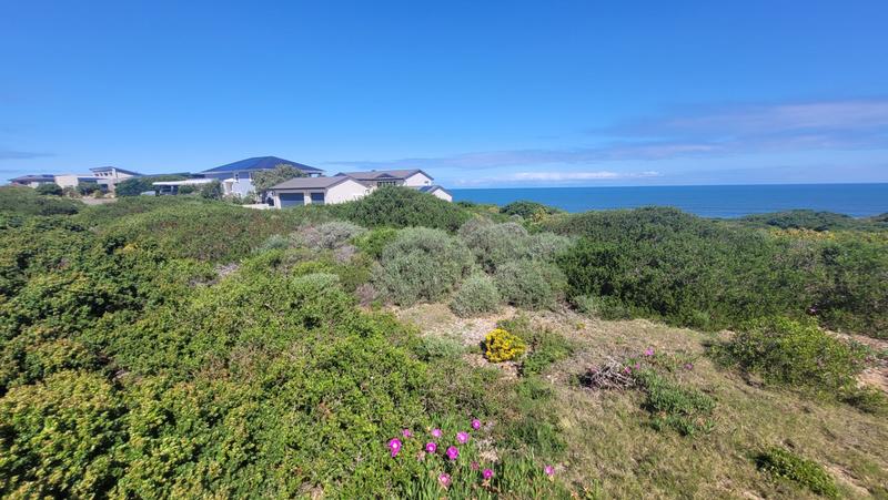 0 Bedroom Property for Sale in Dana Bay Western Cape